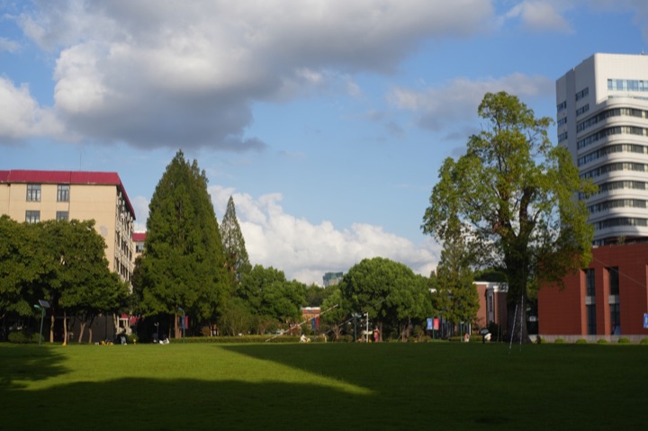 A sunlit lawn and trees between buildings beneath a blue sky with large clouds.